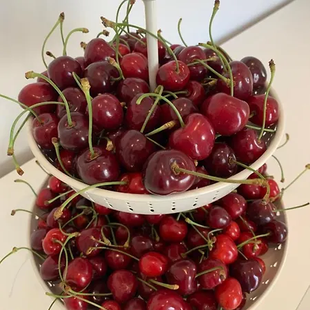 Alojamento de Acomodação e Pequeno-almoço Iv Vico Miglianico