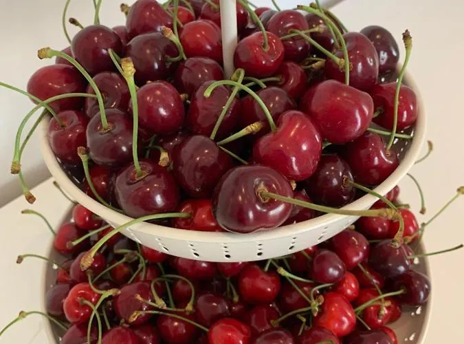 ベッド・アンド・ブレックファスト Iv Vico Miglianico